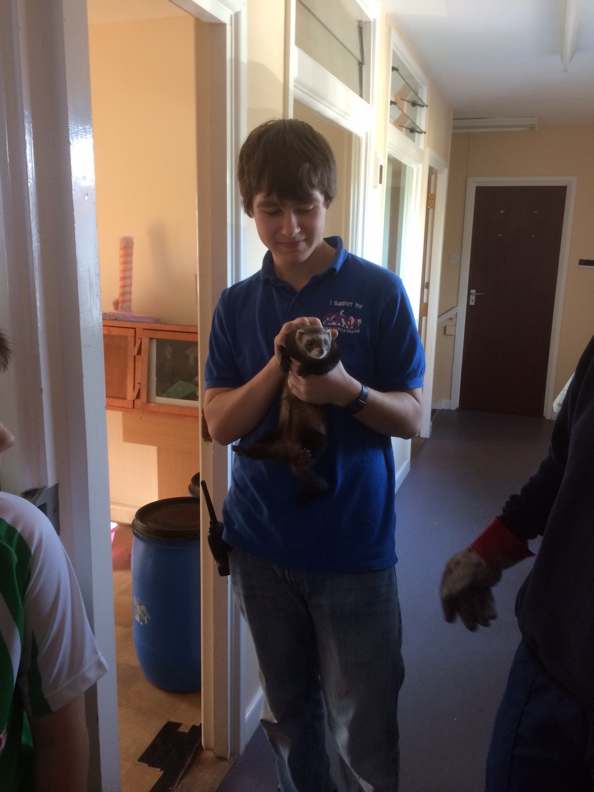 Volunteering at the GSPCA Animal Shelter in Guernsey