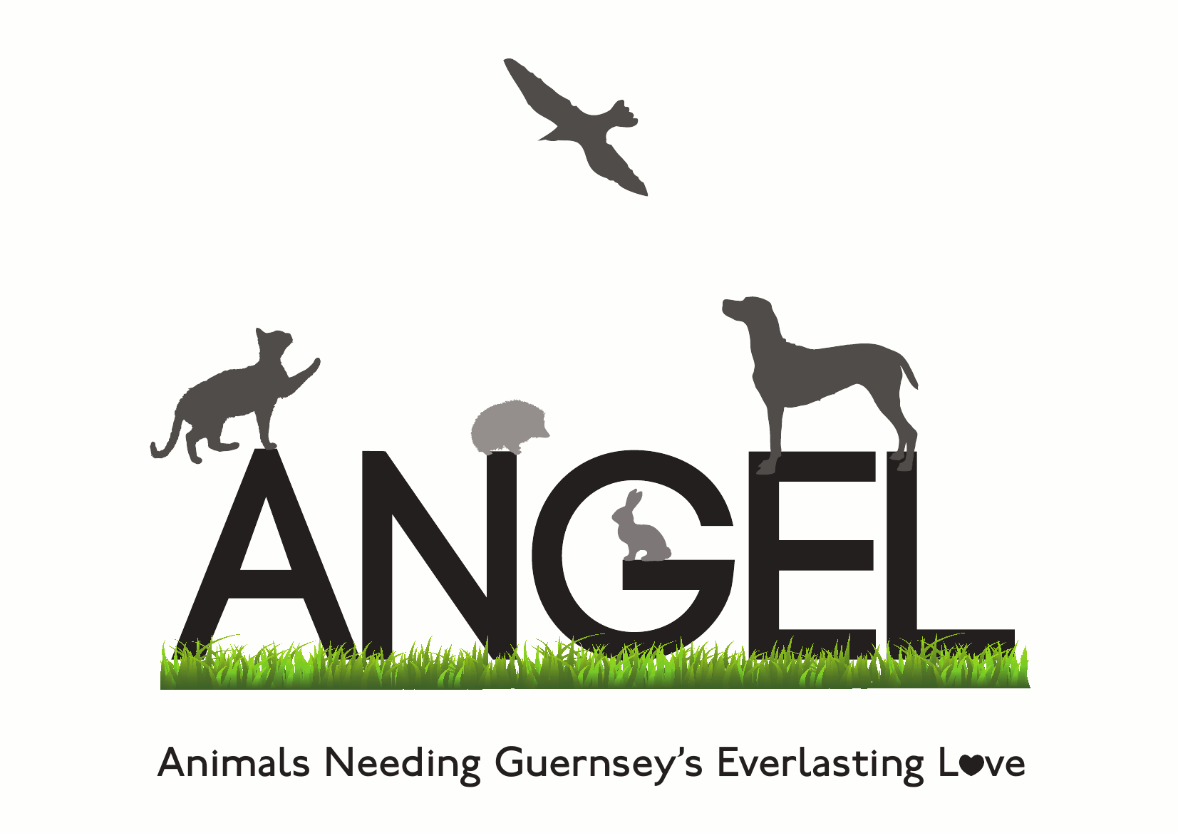 ANGEL - Animals Needing Guernseys Everlasting Love Sponsorship Scheme