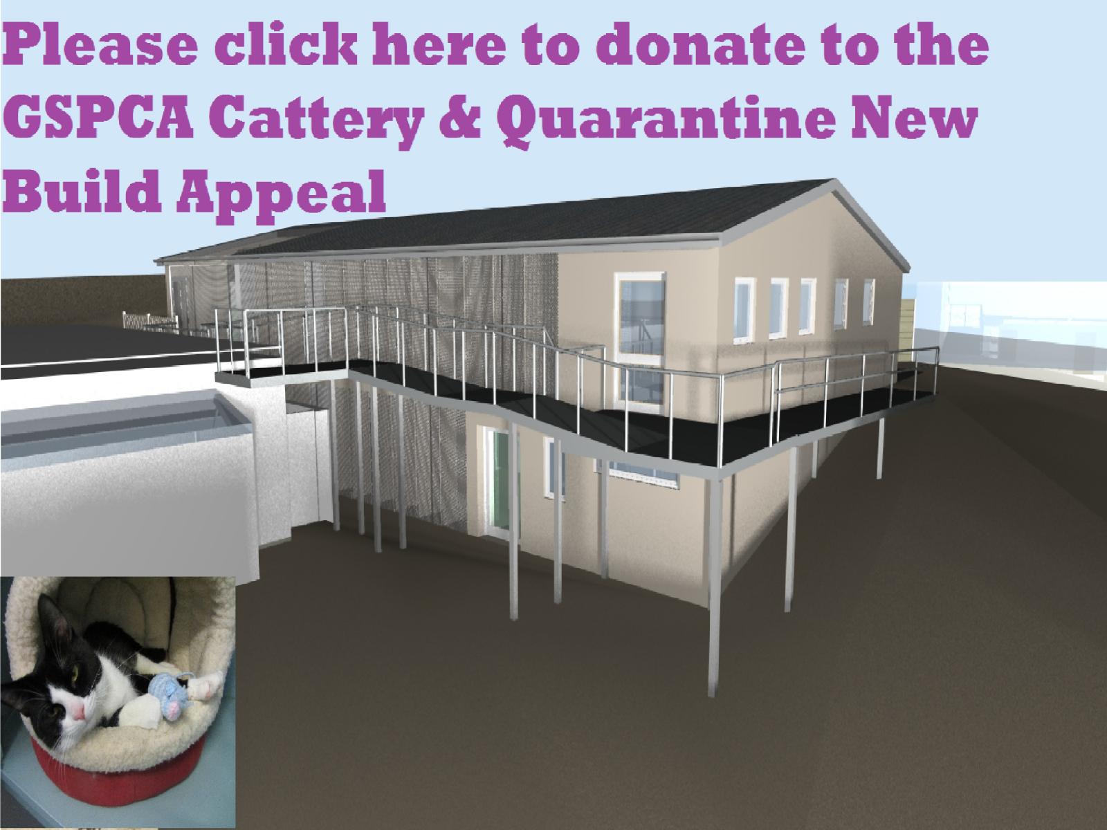 To help donate to our Cattery & Quarantine Appeal please click here