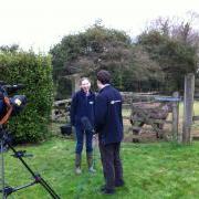 Rebecca Martin GSPCA Animal Shelter Guernsey