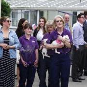 GSPCA Weather Vein topping out Guernsey Animal Shelter puppies