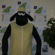 Shaun the Sheep is manned and sponsored by Bluchip Car Sales