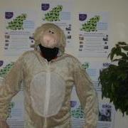 Lenny the Lamb is looking for a Business or Person to sponsor and take part