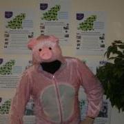 Poppy the Pig is looking for a Business or Person to sponsor and take part