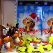 Christmas presents for your family and pets available at the GSPCA animal shelter - Guernsey dog cat rabbit hedgehog birds and other animals