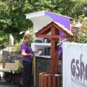 Helen setting up the GSPCA Veg Hedge stall in Guernsey 