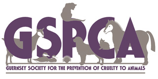 Guenrsey Society for Prevention of Cruelty to Animals