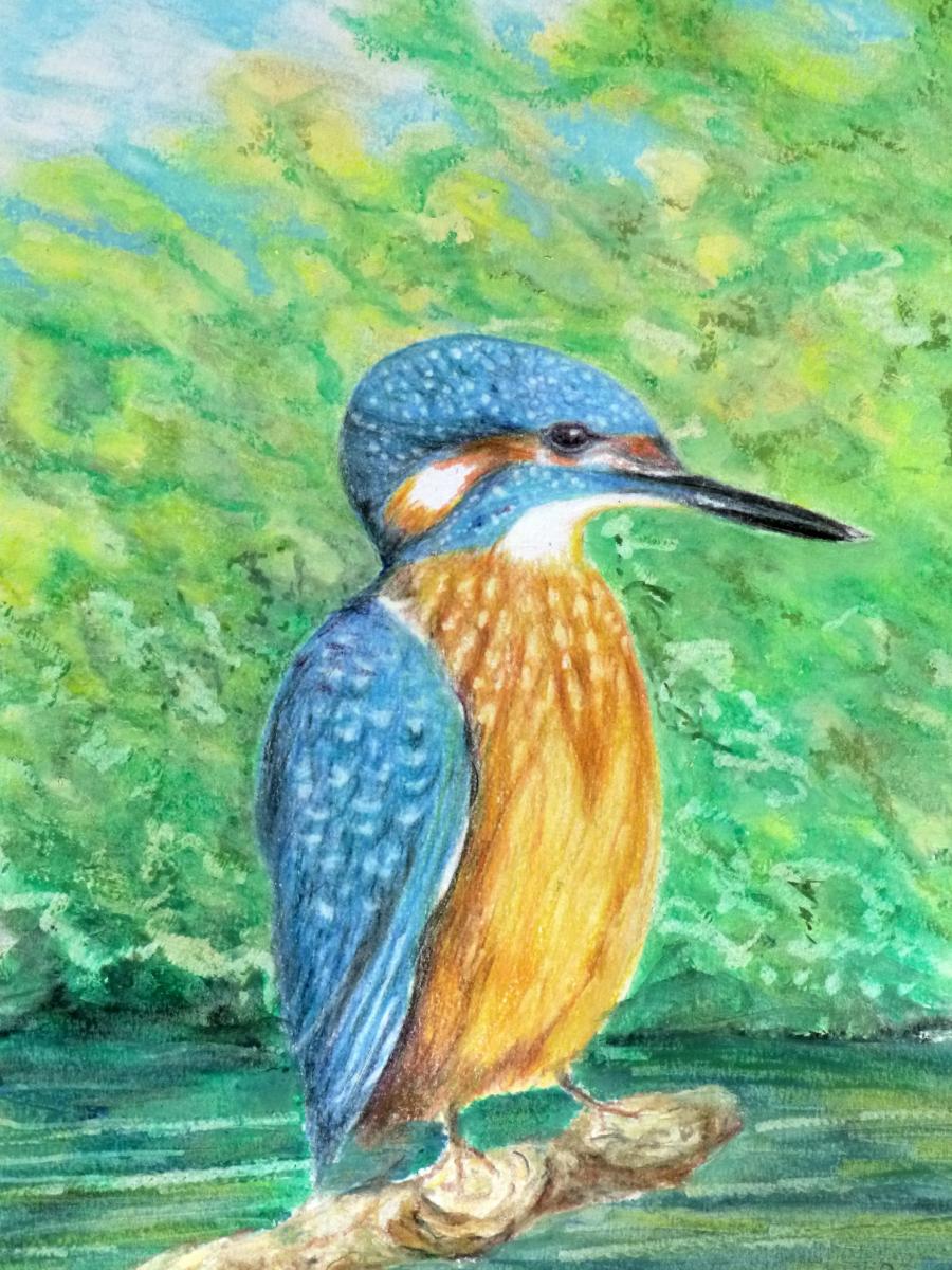 Kingfisher