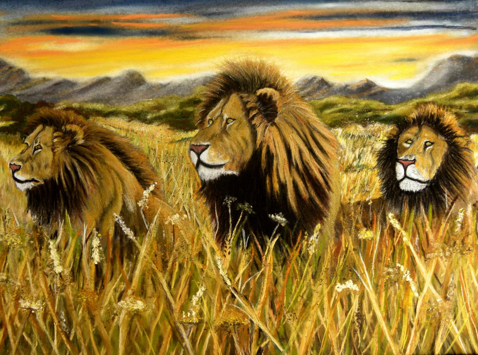 Lions the brothers