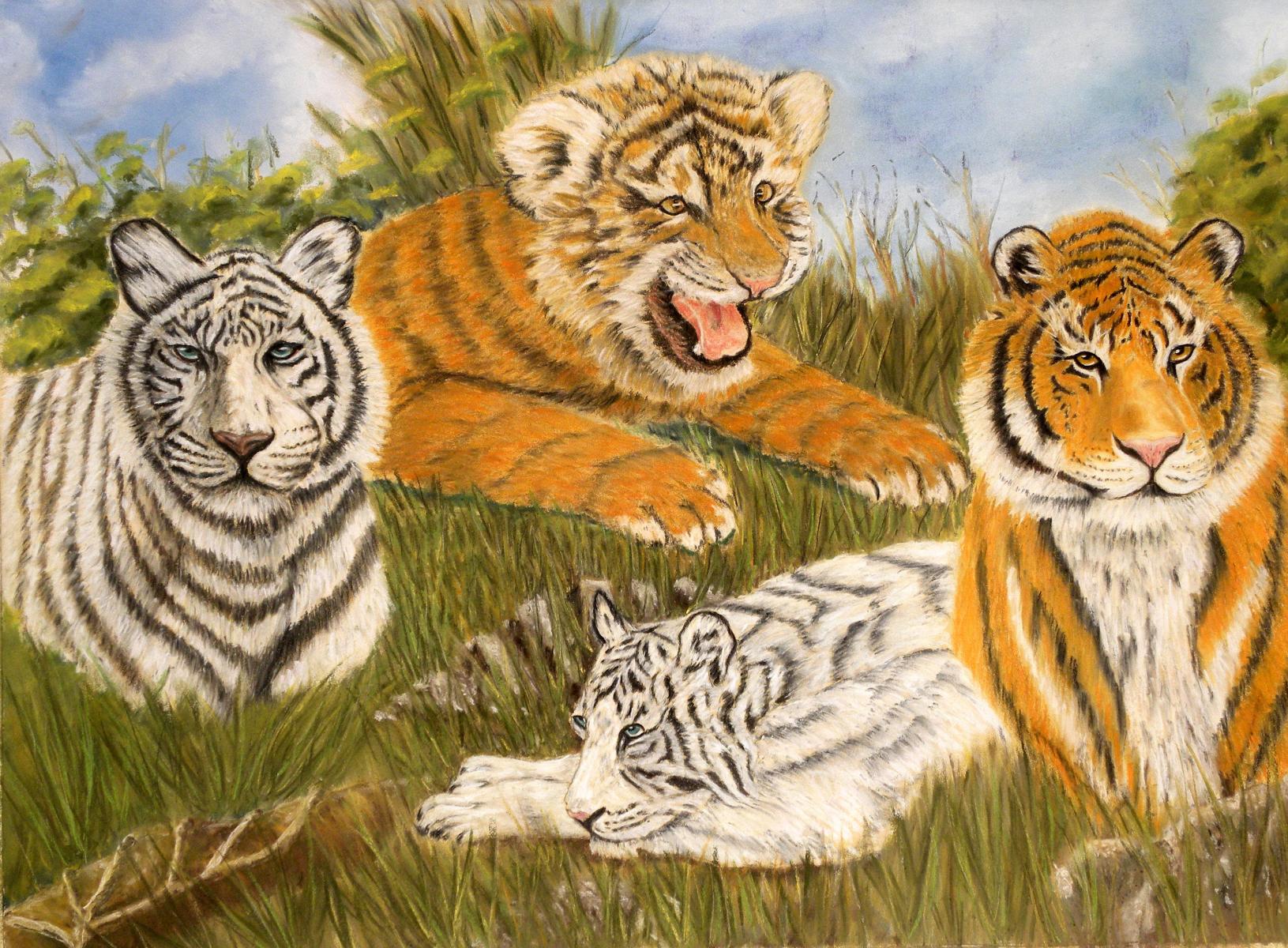 Tigers