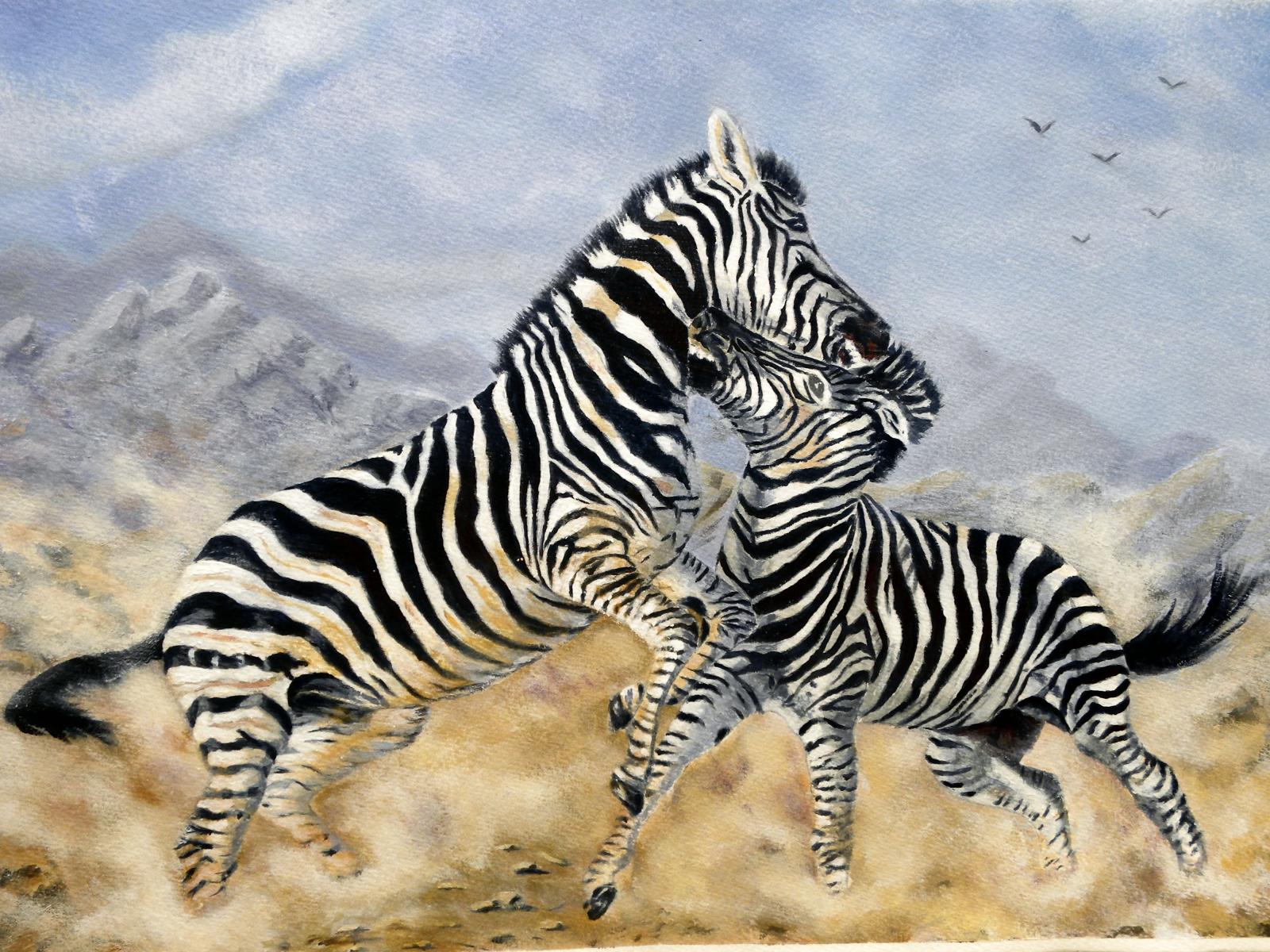 Zebras