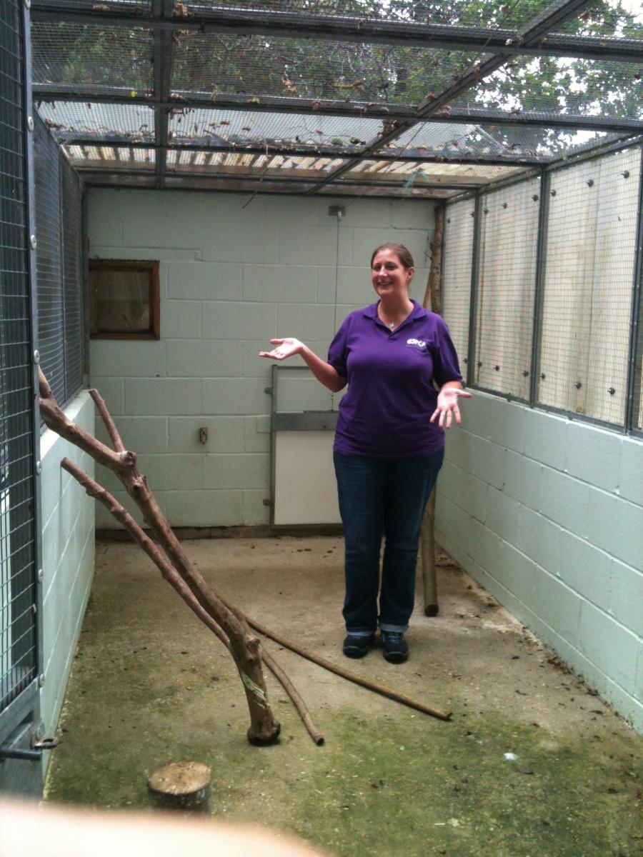 Annie at RSPCA Mallydams