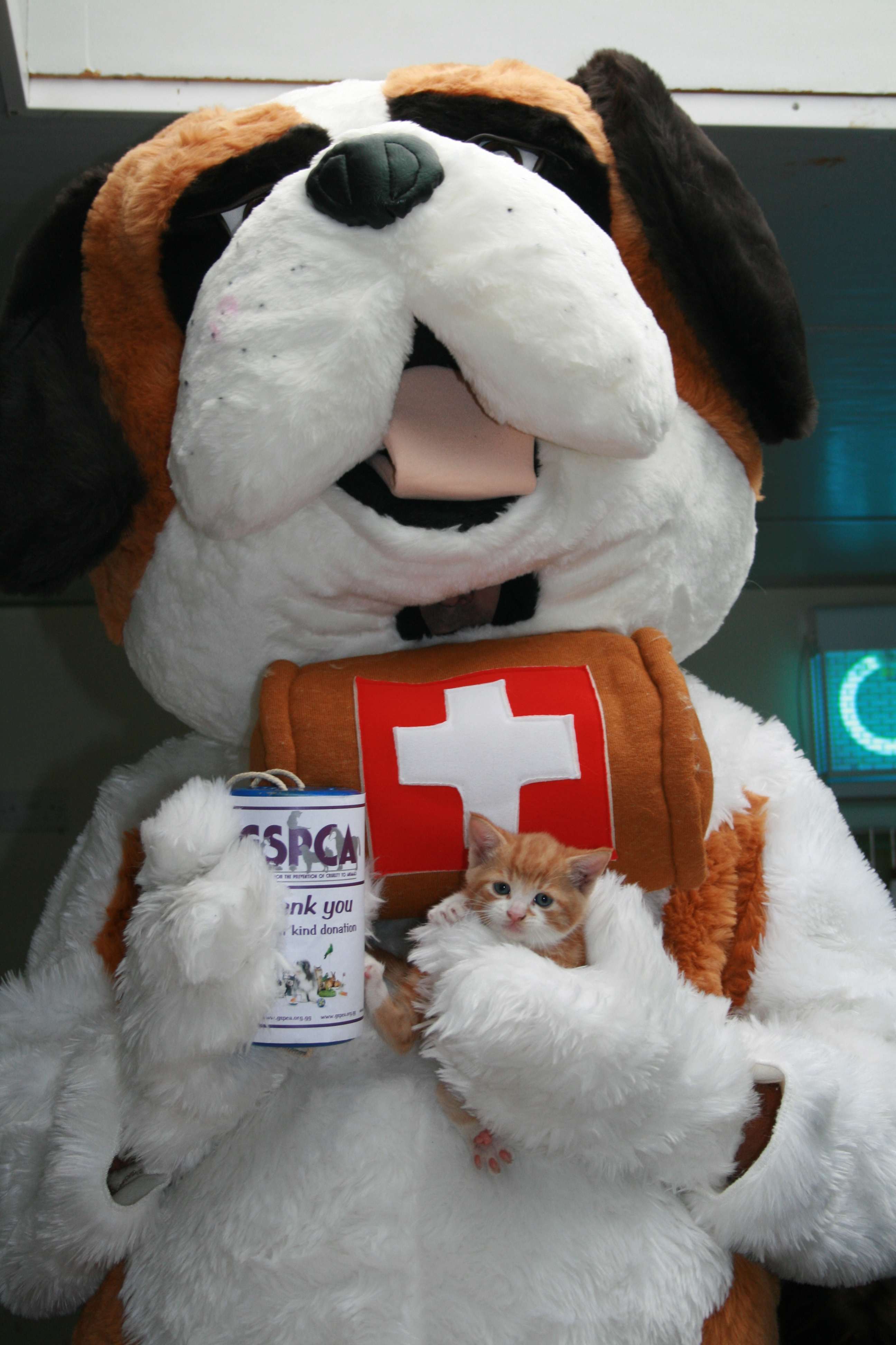 Bernard the GSPCA Animal Shelter Mascot at the Guernsey Festival