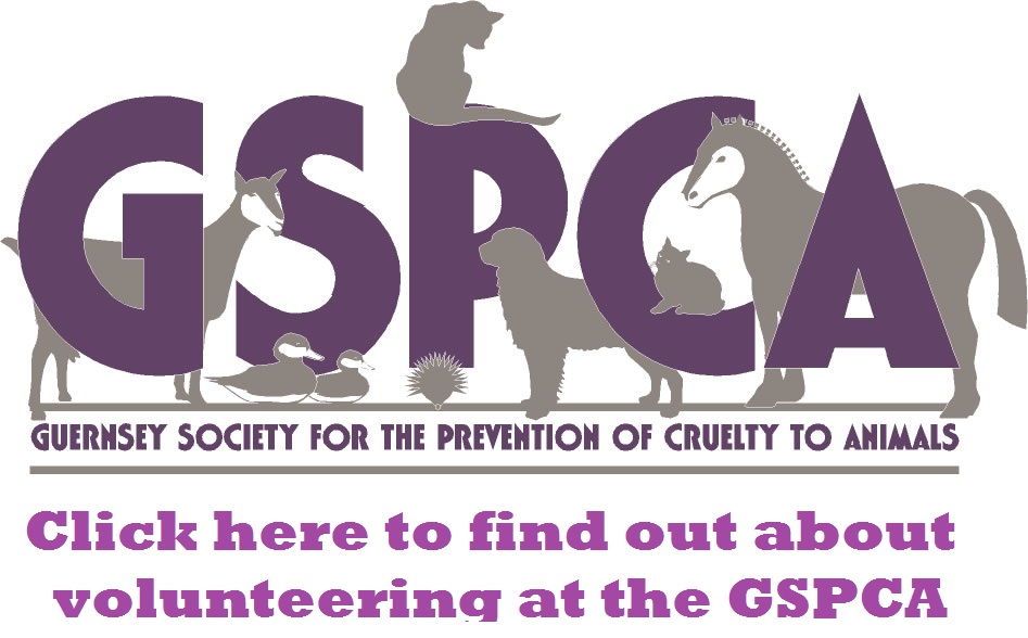 GSPCA staff and volunteers