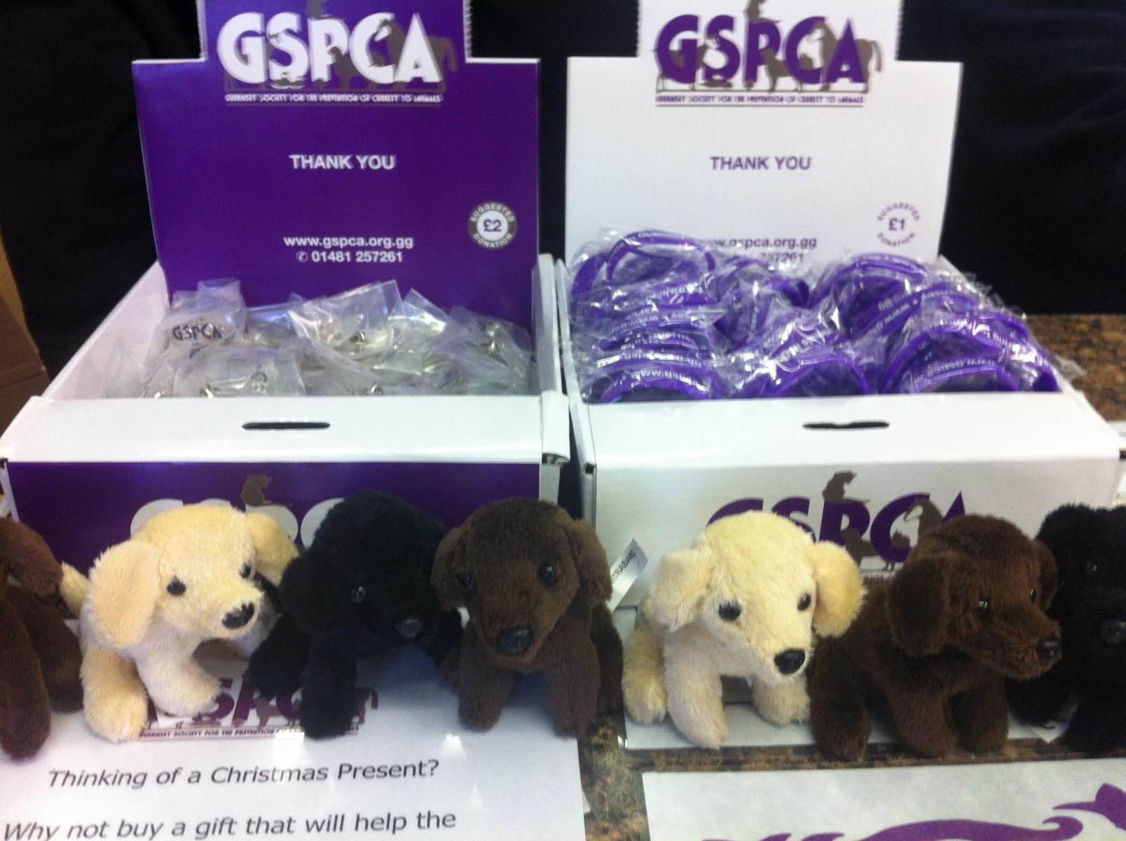 Help raise funds for the GSPCA 140th year