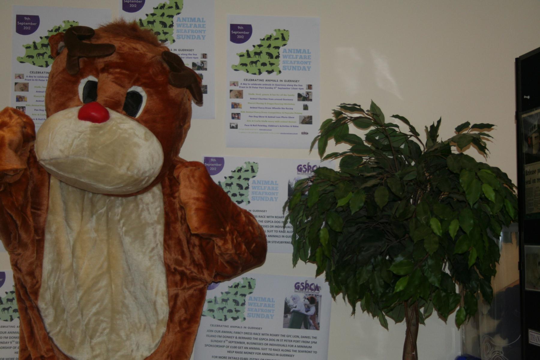 Rudolph the Reindeer is looking for a Business or Person to sponsor and take part