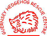 Guernsey Hedgehog Rescue Centre