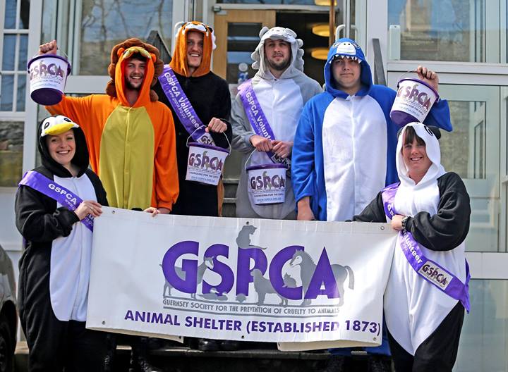 Guernsey Police Students raising funds for the GSPCA in Guernsey