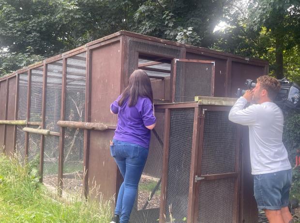 Jobs | GSPCA Guernsey Jobs | GSPCA Guernsey
