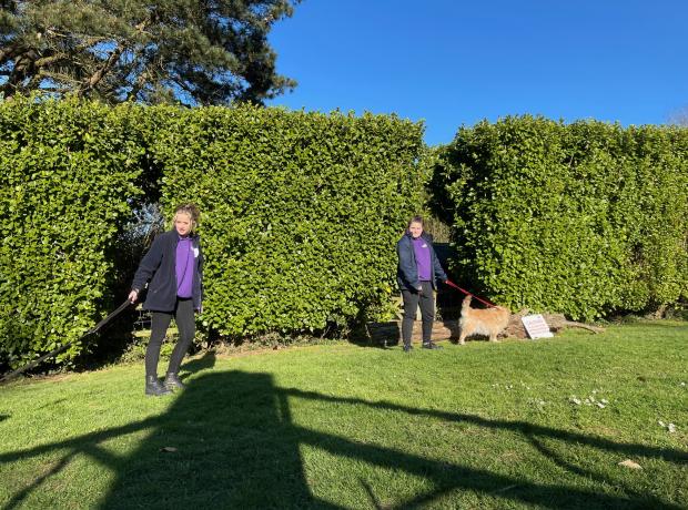 Animal Jobs | GSPCA Guernsey Animal Jobs | GSPCA Guernsey