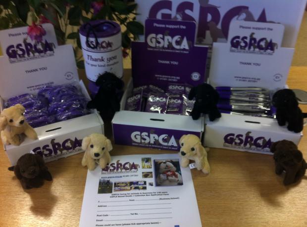 Wrist Boxes | GSPCA Guernsey