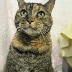 Kitty IS RESERVED!! :) :)