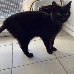 Demie has been adopted!