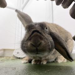 Humphrey has interest!
