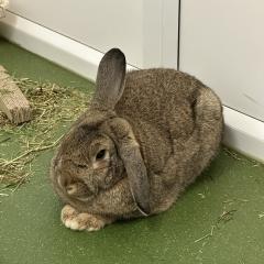 Humphrey has interest!