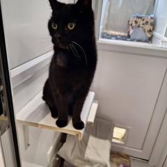 Lovely Tilly is reserved!