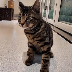 Eggnog is looking for a home