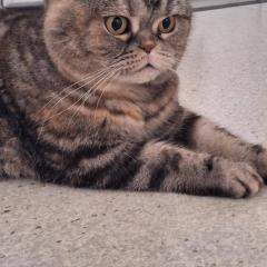 Meet Maddie: maddie has found her new staff! :)