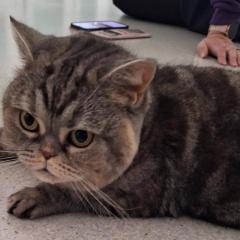 Meet Maddie: maddie has found her new staff! :)