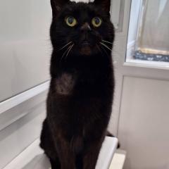 Lovely Tilly is reserved!