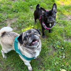 Trixie Is Available 