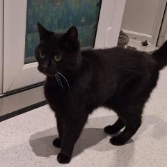 Lovely Tilly is reserved!