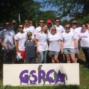 Barclays volunteers helping the GSPCA at the Fun Dog Show Fairfields Guernsey