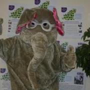 Nellie the Elephant is looking for a Business or Person to sponsor and take part