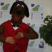 Dennis the Dog is looking for a Business or Person to sponsor and take part