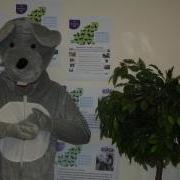 Mike the Mouse is looking for a Business or Person to sponsor and take part