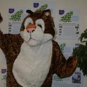 Trevor the Tiger is looking for a Business or Person to sponsor and take part