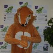 Freddy the Fox is looking for a Business or Person to sponsor and take part