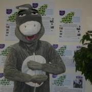Denzil the Donkey is looking for a Business or Person to sponsor and take part