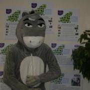 Dominic the Donkey is looking for a Business or Person to sponsor and take part