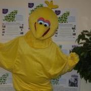 Big Bird is looking Clive the Cow for a Business or Person to sponsor and take part