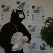 Jessie the cat is looking for a Business or Person to sponsor and take part