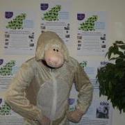 Larry the Lamb is looking for a Business or Person to sponsor and take part