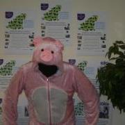 Peter the Pig is looking for a Business or Person to sponsor and take part