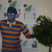 Roland Rat is looking for a Business or Person to sponsor and take part