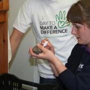 Lloyds staff helping the GSPCA in Guernsey hoglets hedgehogs